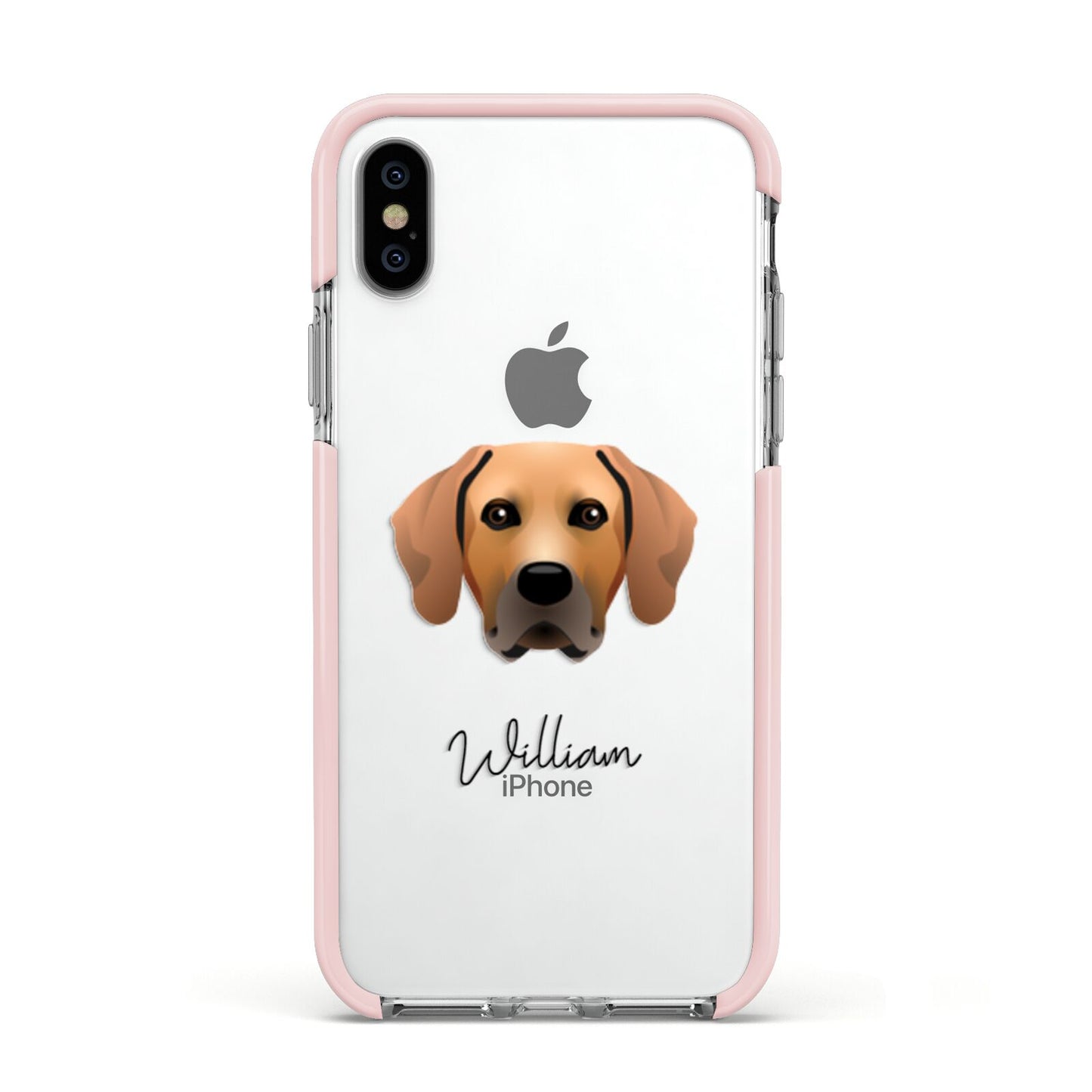 Rhodesian Ridgeback Personalised Apple iPhone Xs Impact Case Pink Edge on Silver Phone