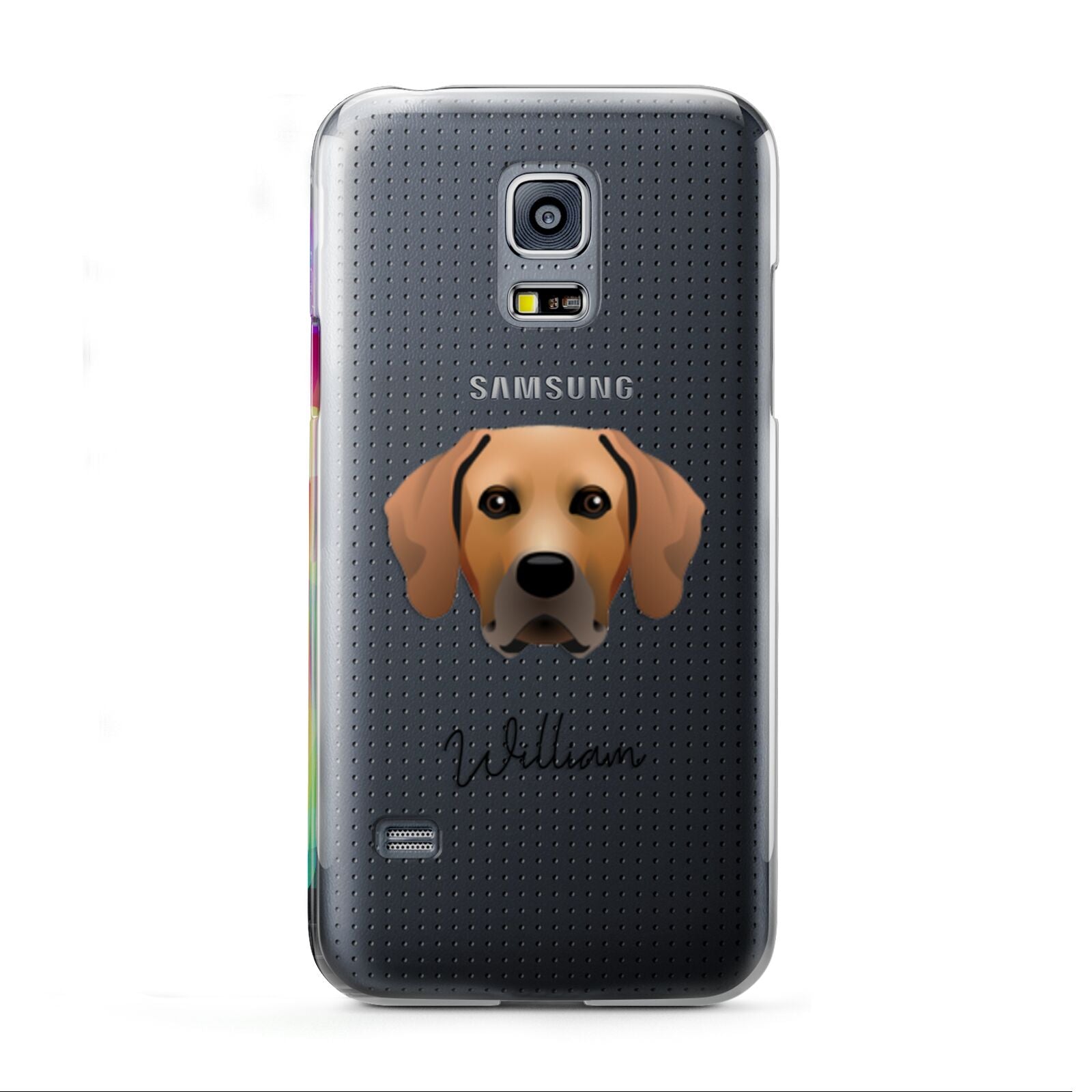 Rhodesian Ridgeback Personalised Samsung Galaxy S5 Mini Case