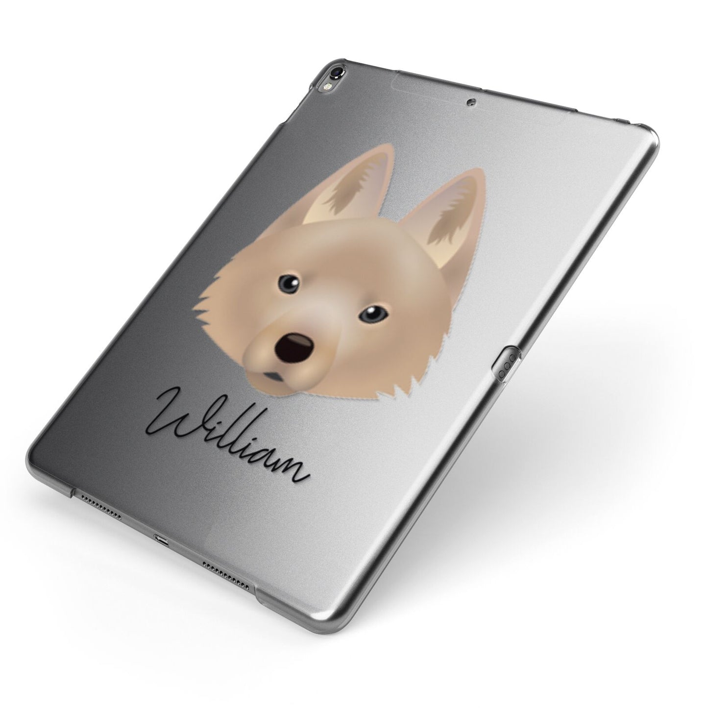 Schipperke Personalised Apple iPad Case on Grey iPad Side View