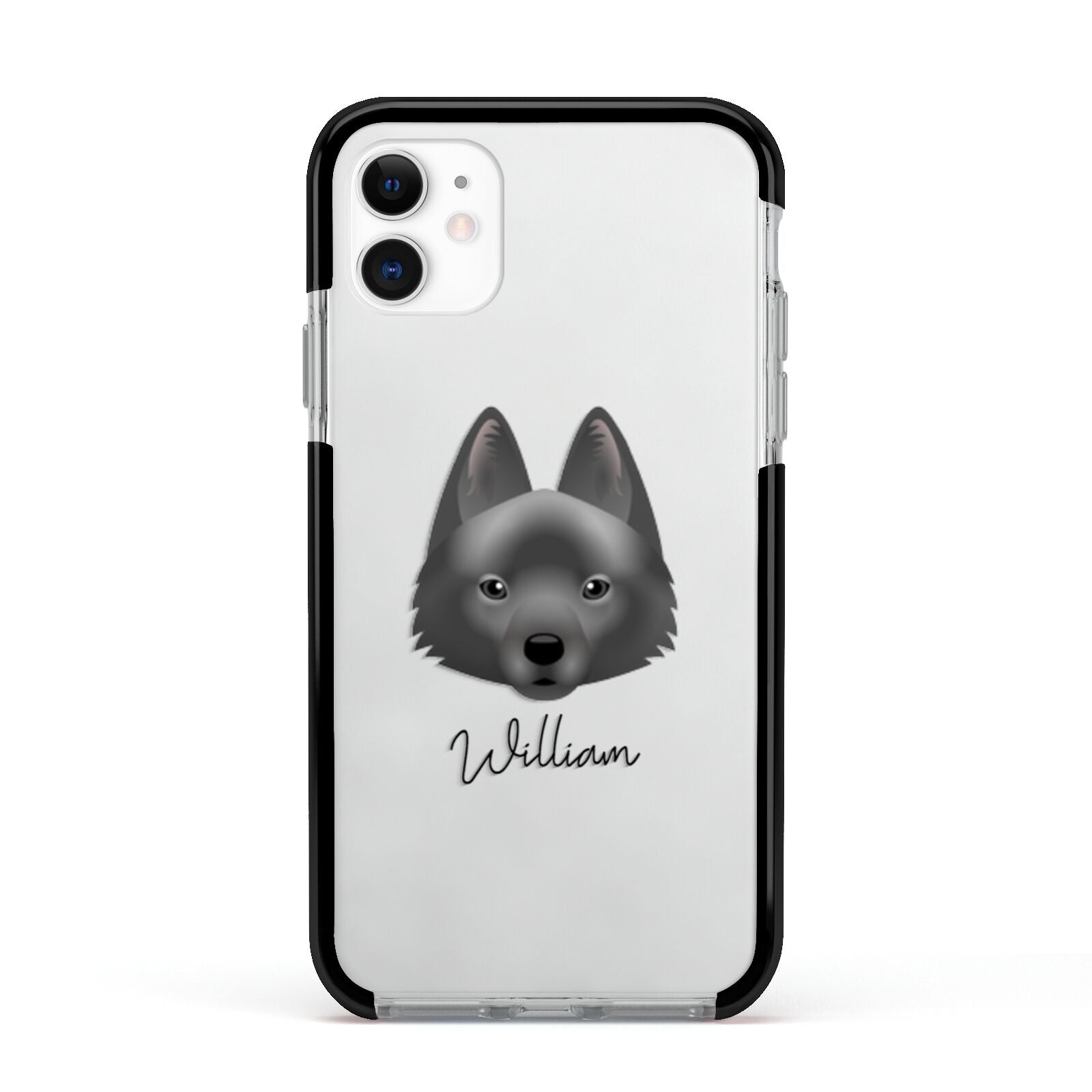 Schipperke Personalised Apple iPhone 11 in White with Black Impact Case