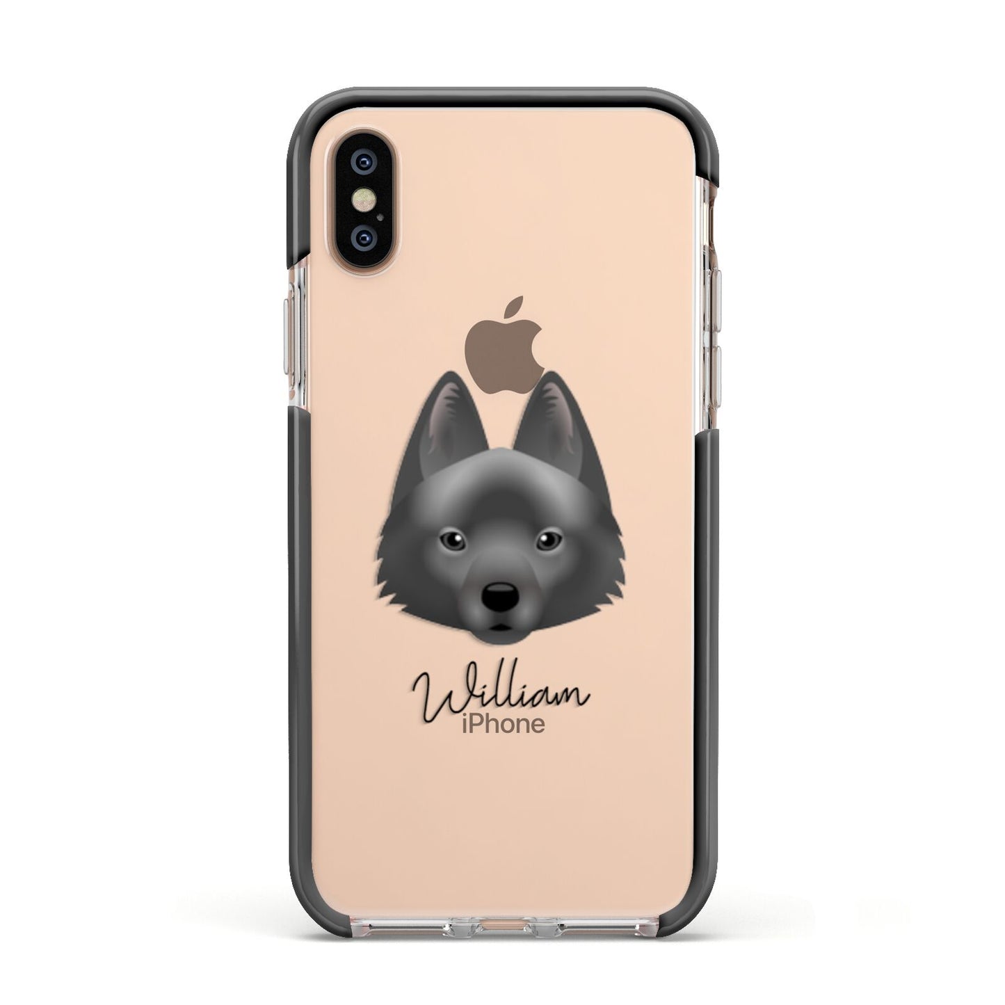 Schipperke Personalised Apple iPhone Xs Impact Case Black Edge on Gold Phone