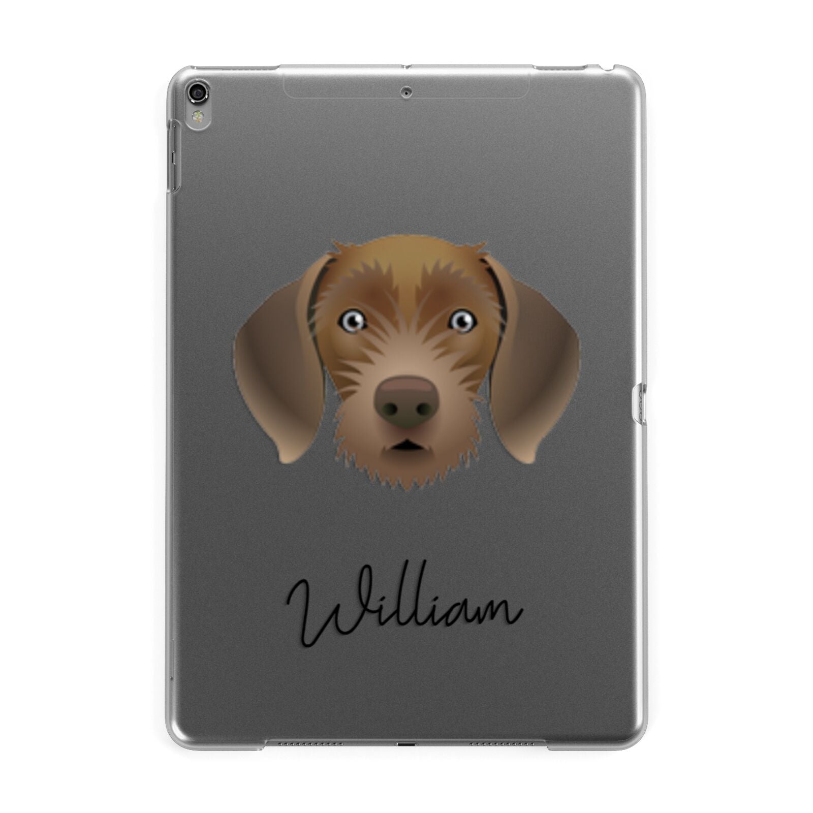 Slovakian Rough Haired Pointer Personalised Apple iPad Grey Case
