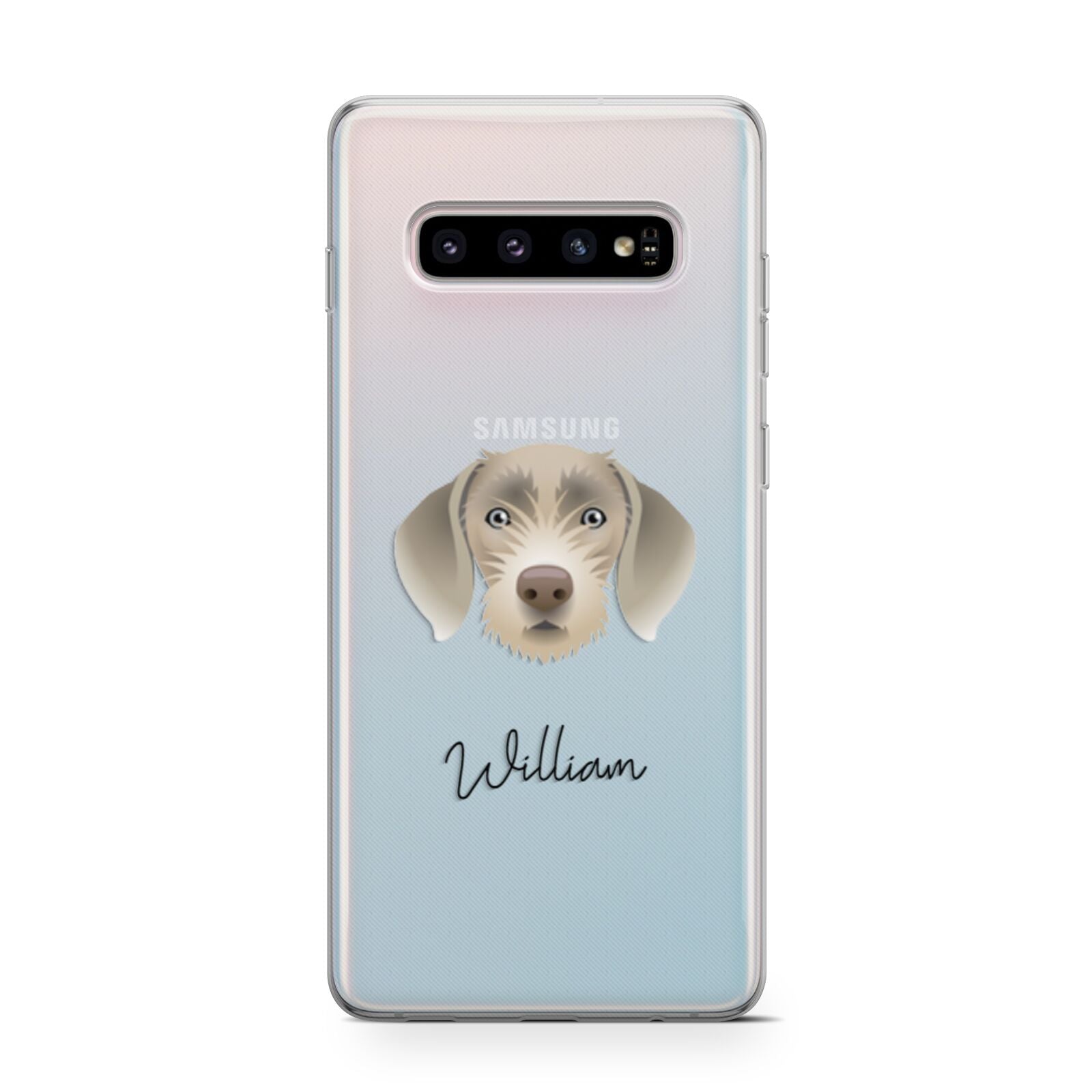 Slovakian Rough Haired Pointer Personalised Samsung Galaxy S10 Case