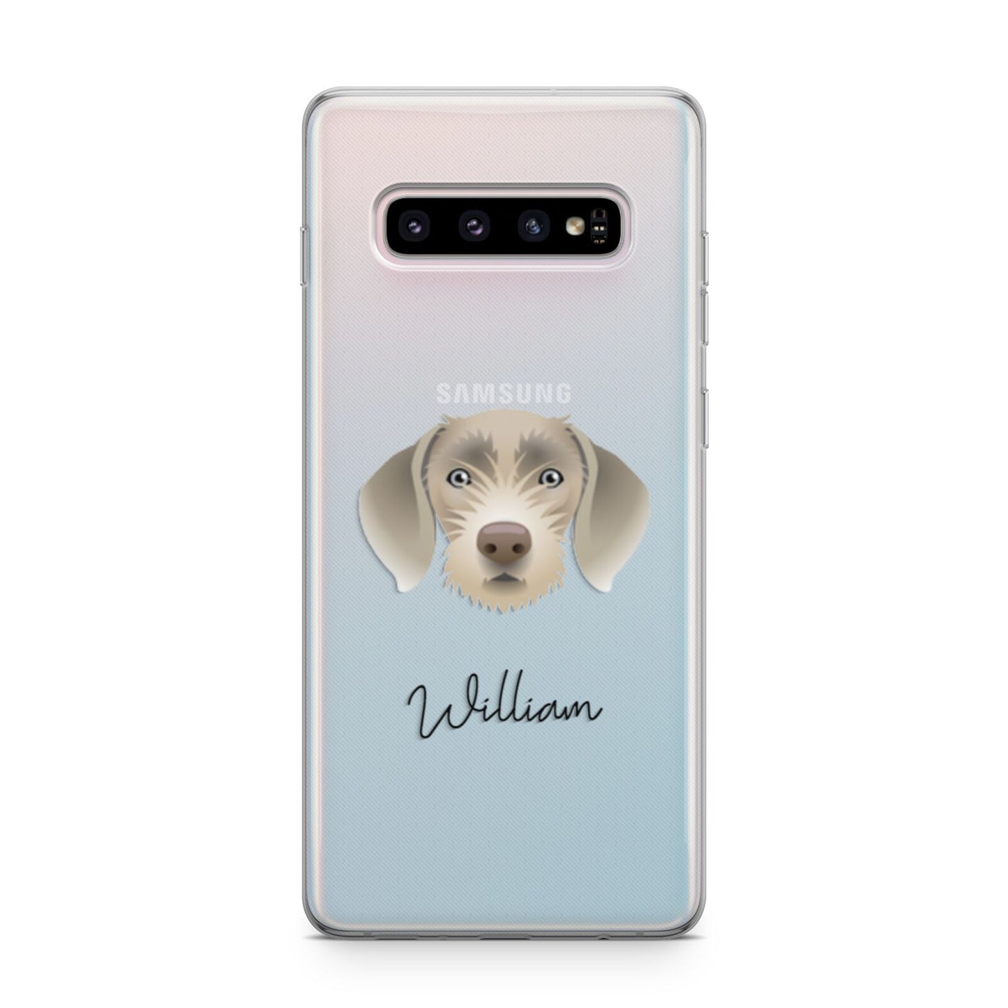 Slovakian Rough Haired Pointer Personalised Samsung Galaxy S10 Plus Case