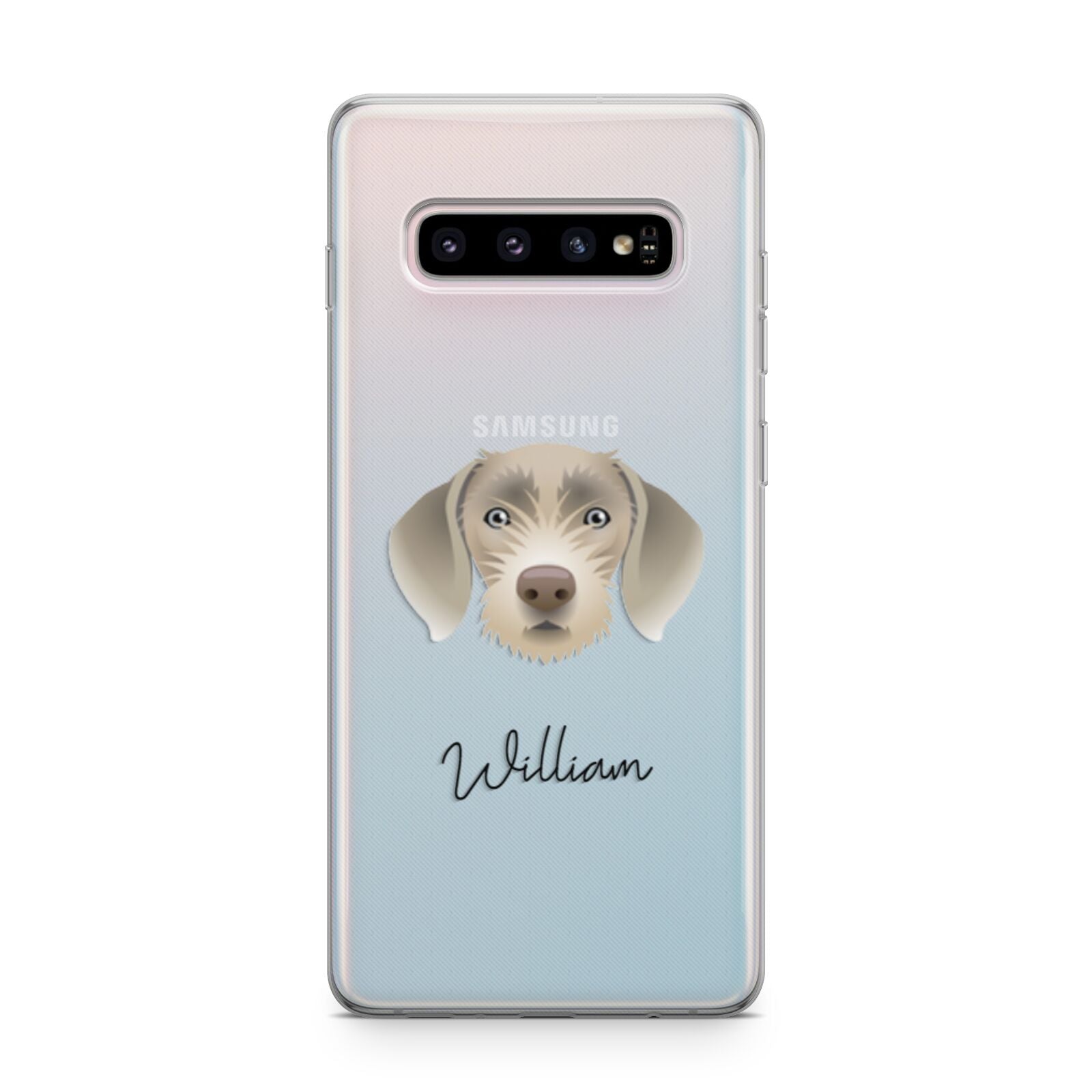 Slovakian Rough Haired Pointer Personalised Samsung Galaxy S10 Plus Case