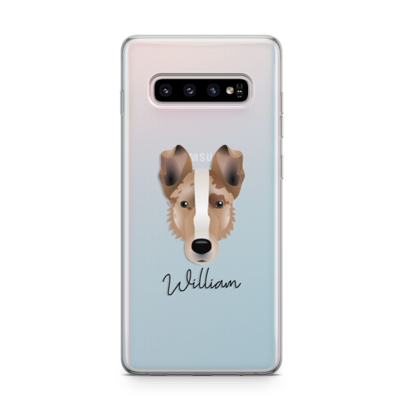 Smooth Collie Personalised Samsung Galaxy S10 Plus Case