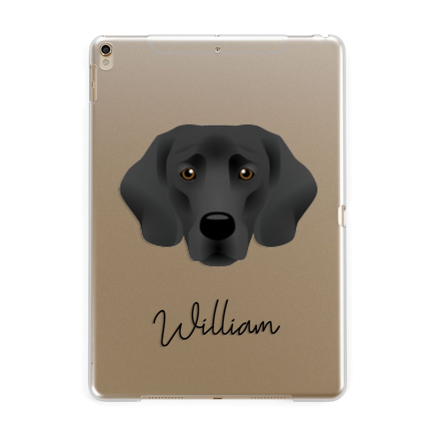 Springador Personalised Apple iPad Gold Case