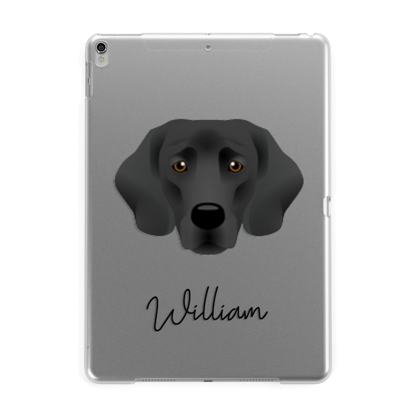 Springador Personalised Apple iPad Silver Case