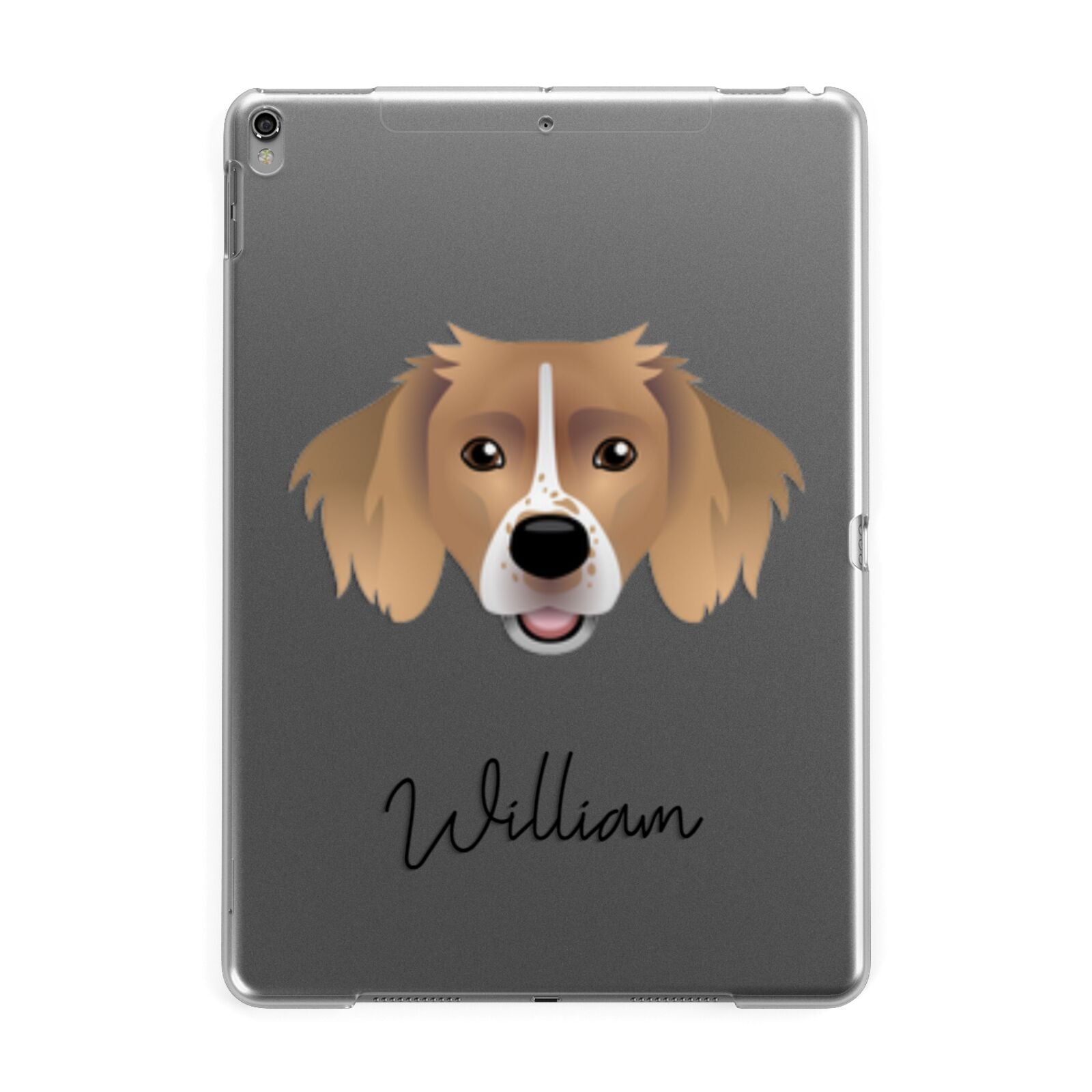 Sprollie Personalised Apple iPad Grey Case