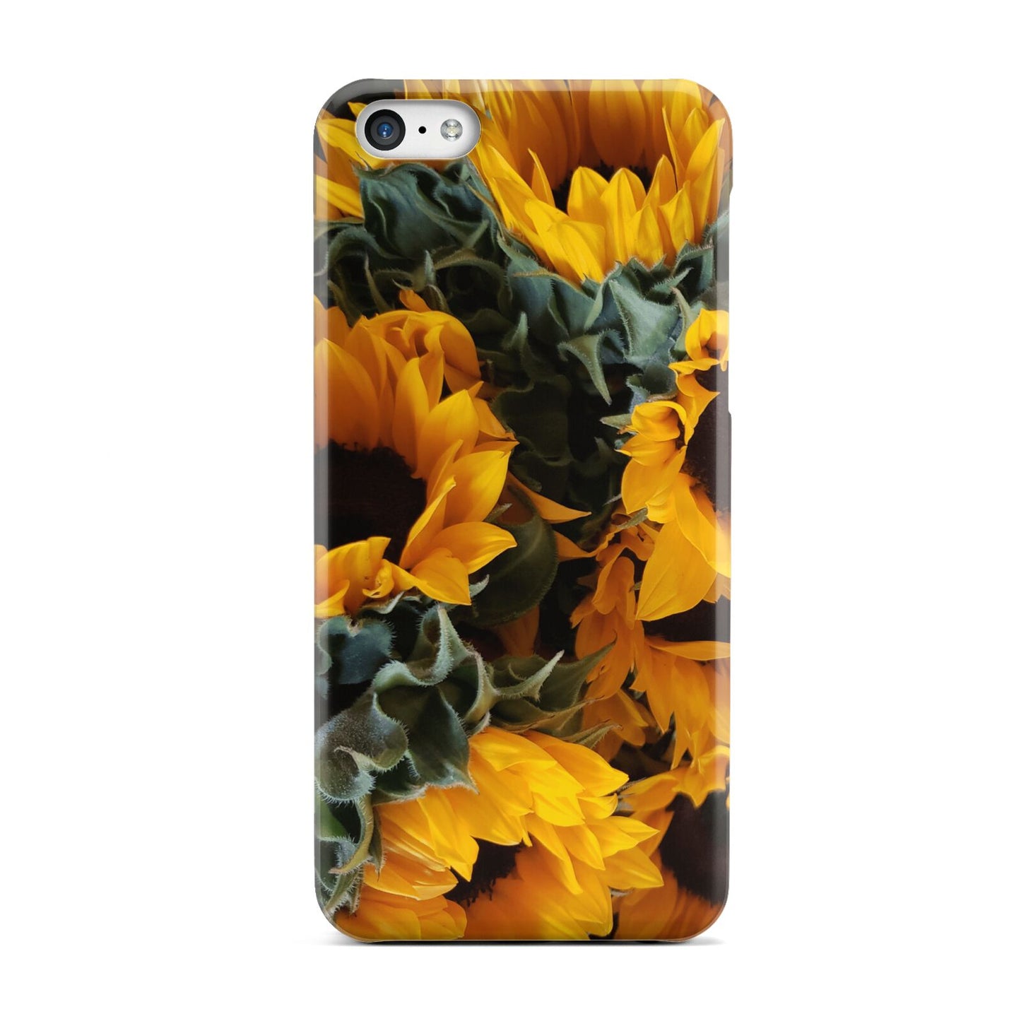 Sunflower Apple iPhone 5c Case