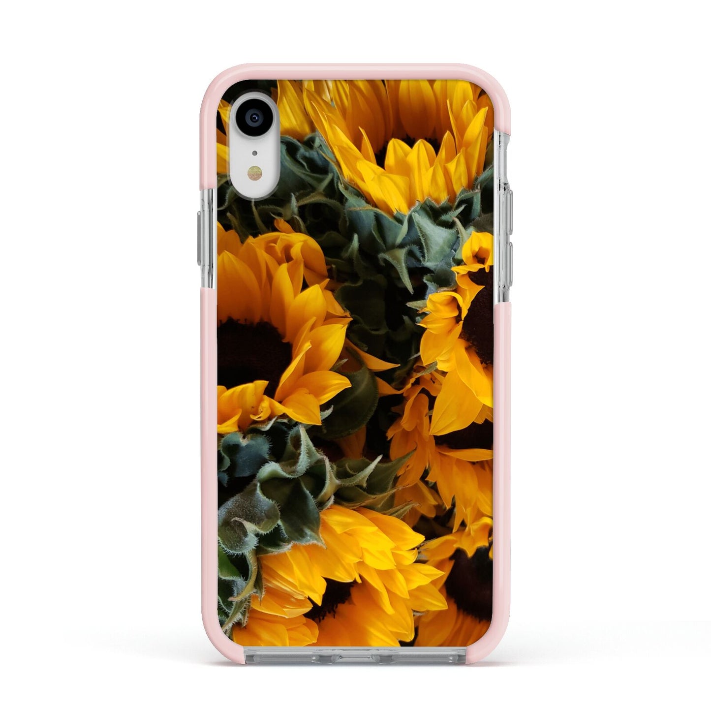 Sunflower Apple iPhone XR Impact Case Pink Edge on Silver Phone