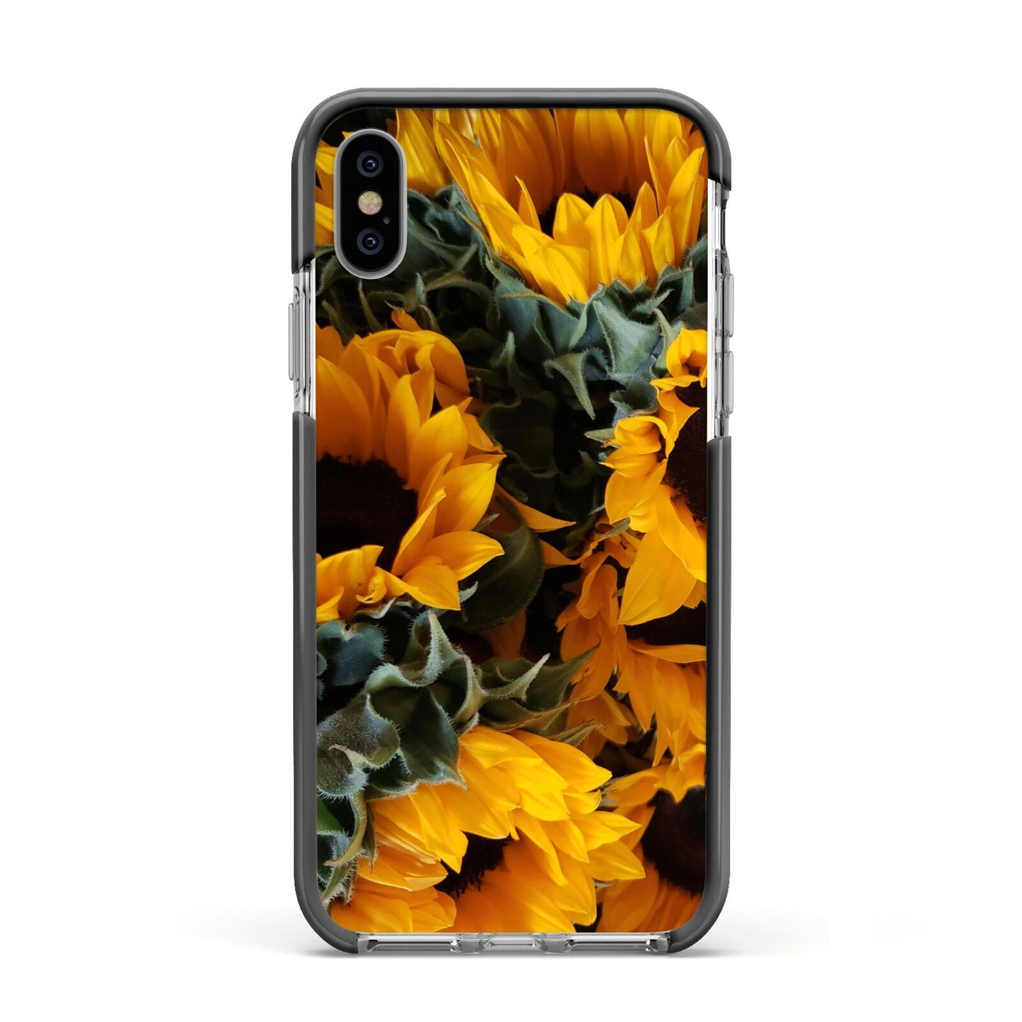 Sunflower Apple iPhone Xs Impact Case Black Edge on Silver Phone