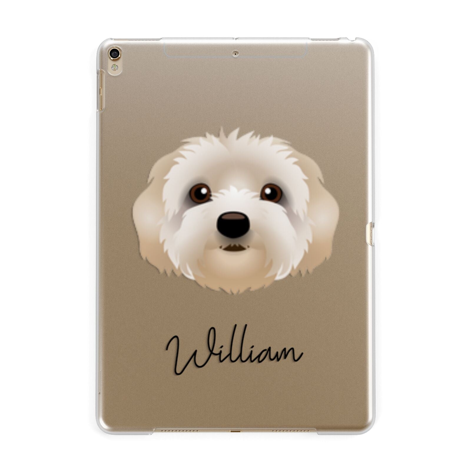 Terri Poo Personalised Apple iPad Gold Case