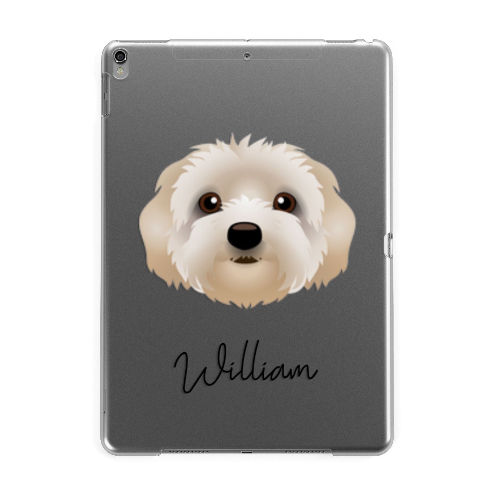 Terri Poo Personalised Apple iPad Grey Case