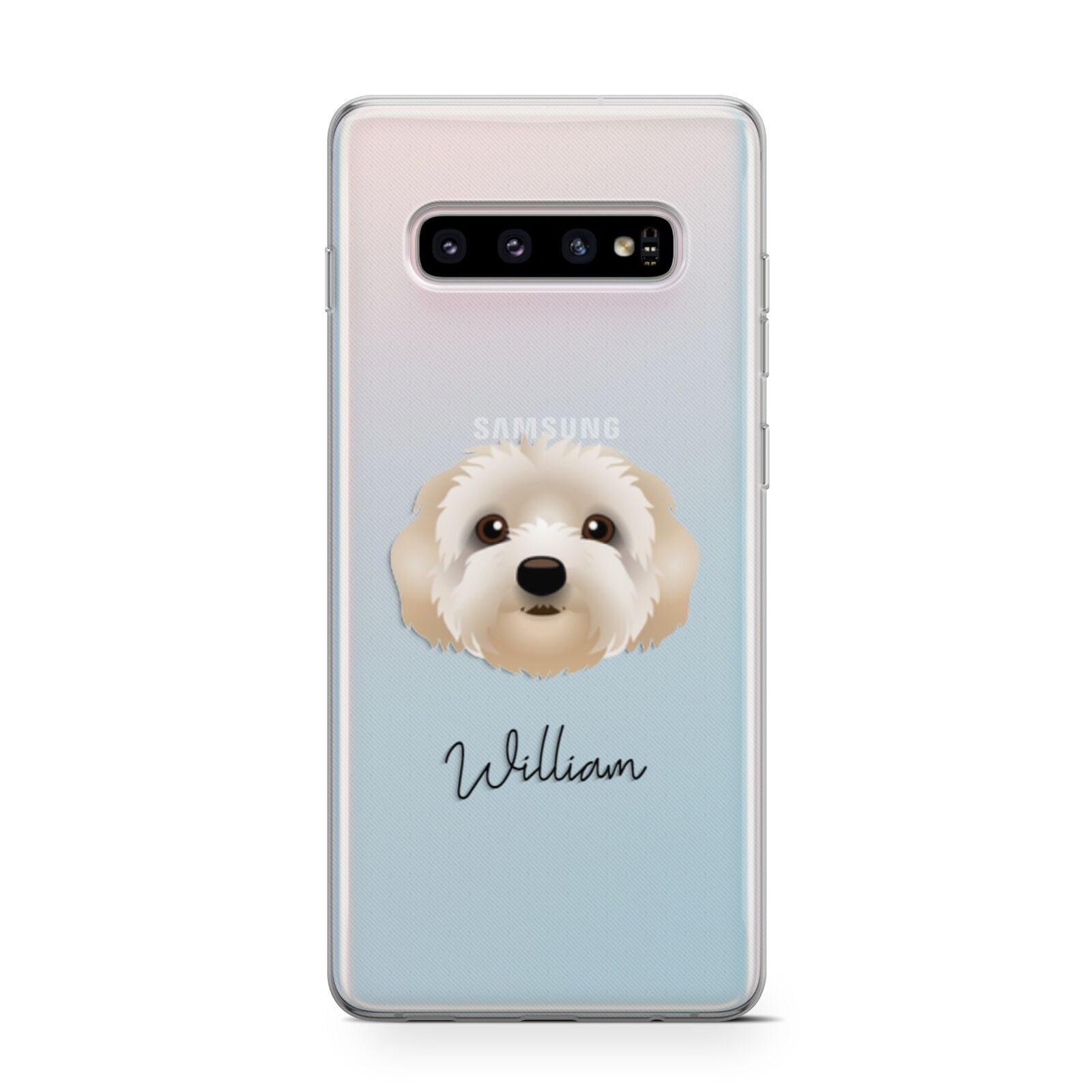 Terri Poo Personalised Samsung Galaxy S10 Case