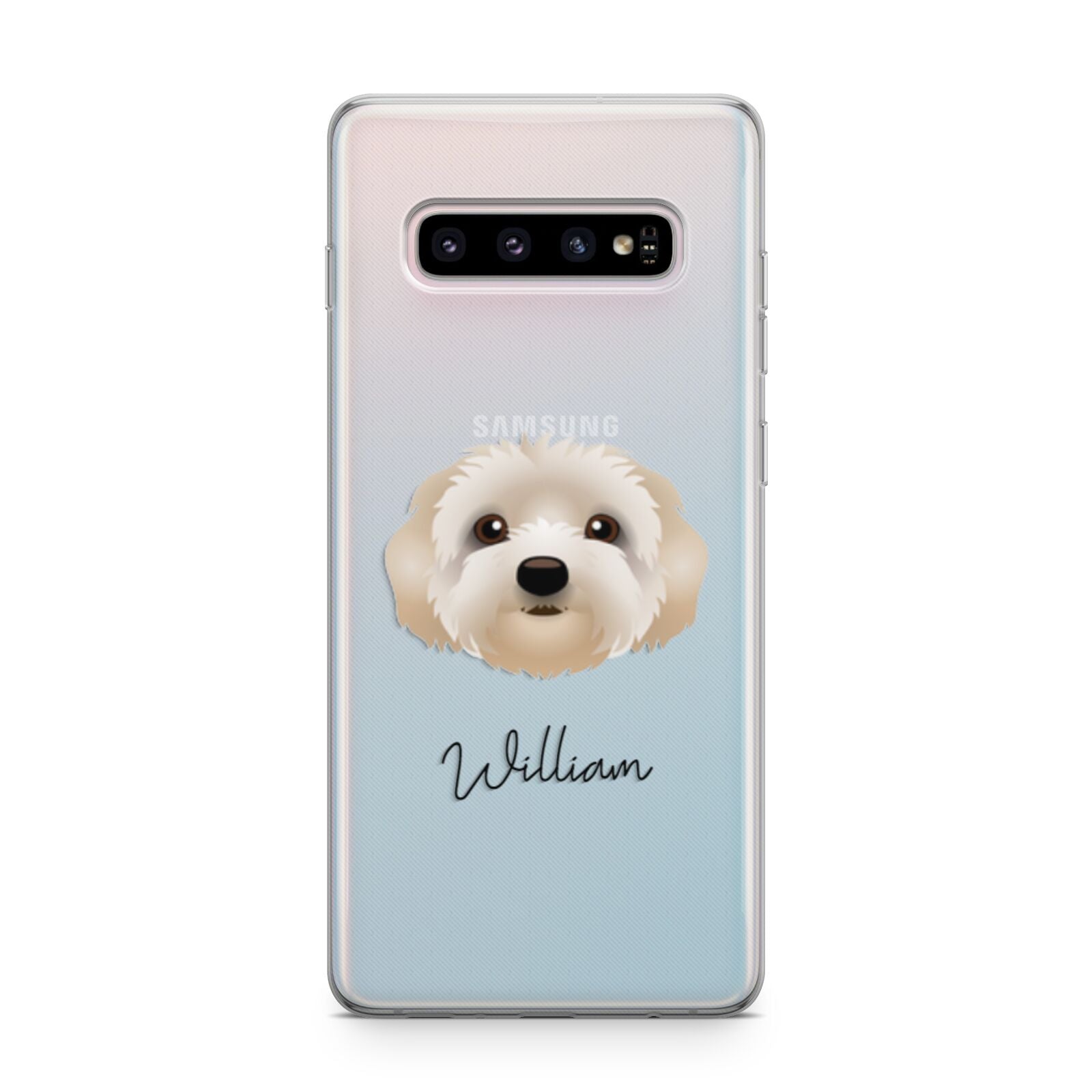 Terri Poo Personalised Samsung Galaxy S10 Plus Case