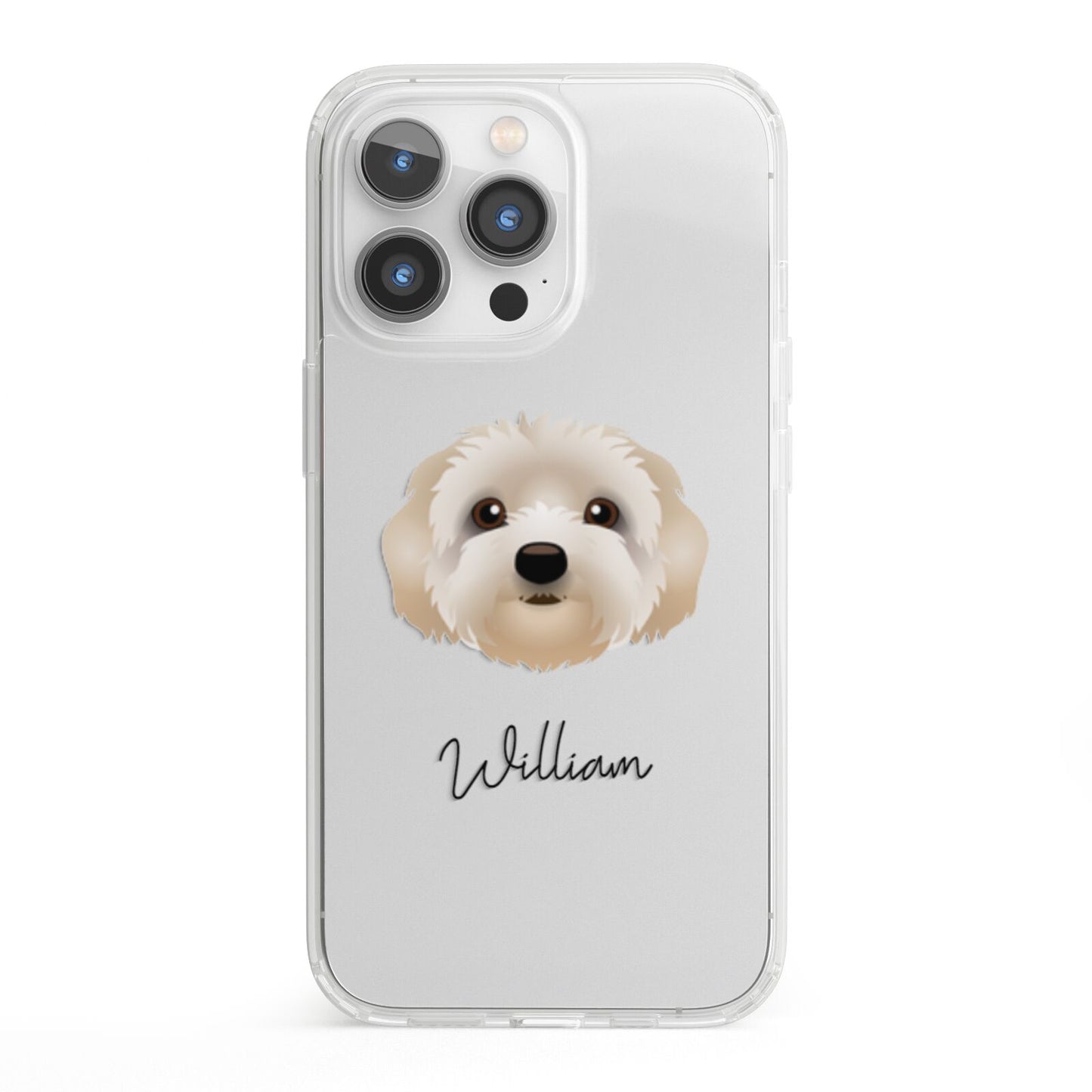 Terri Poo Personalised iPhone 13 Pro Clear Bumper Case