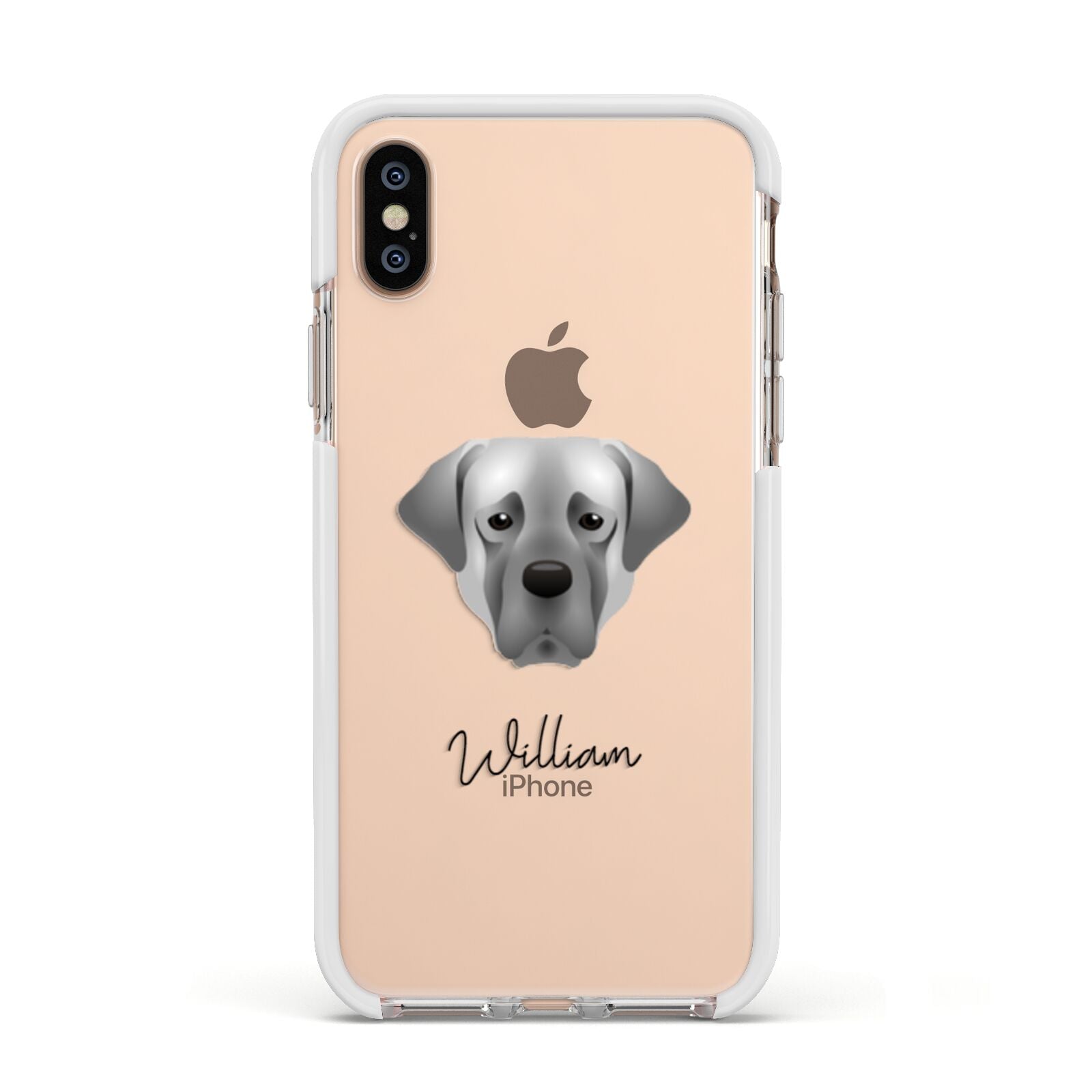 Turkish Kangal Dog Personalised Apple iPhone Xs Impact Case White Edge on Gold Phone