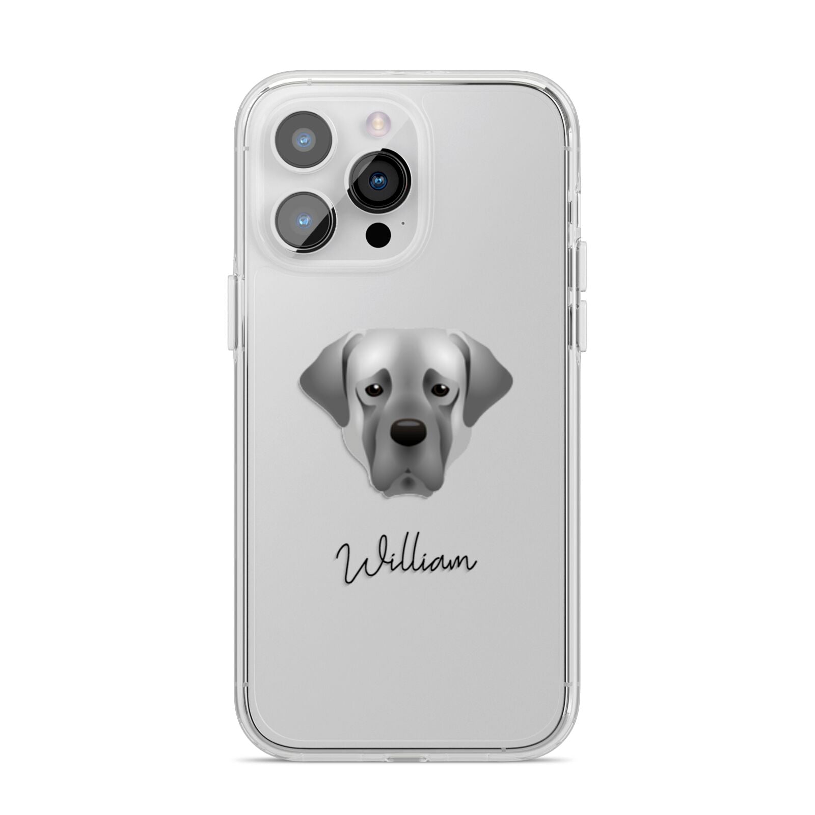 Turkish Kangal Dog Personalised iPhone 14 Pro Max Clear Tough Case Silver