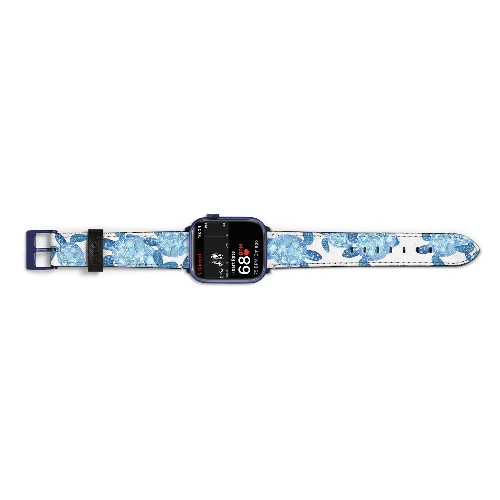 Turtle Apple Watch Strap Size 38mm Landscape Image Blue Hardware