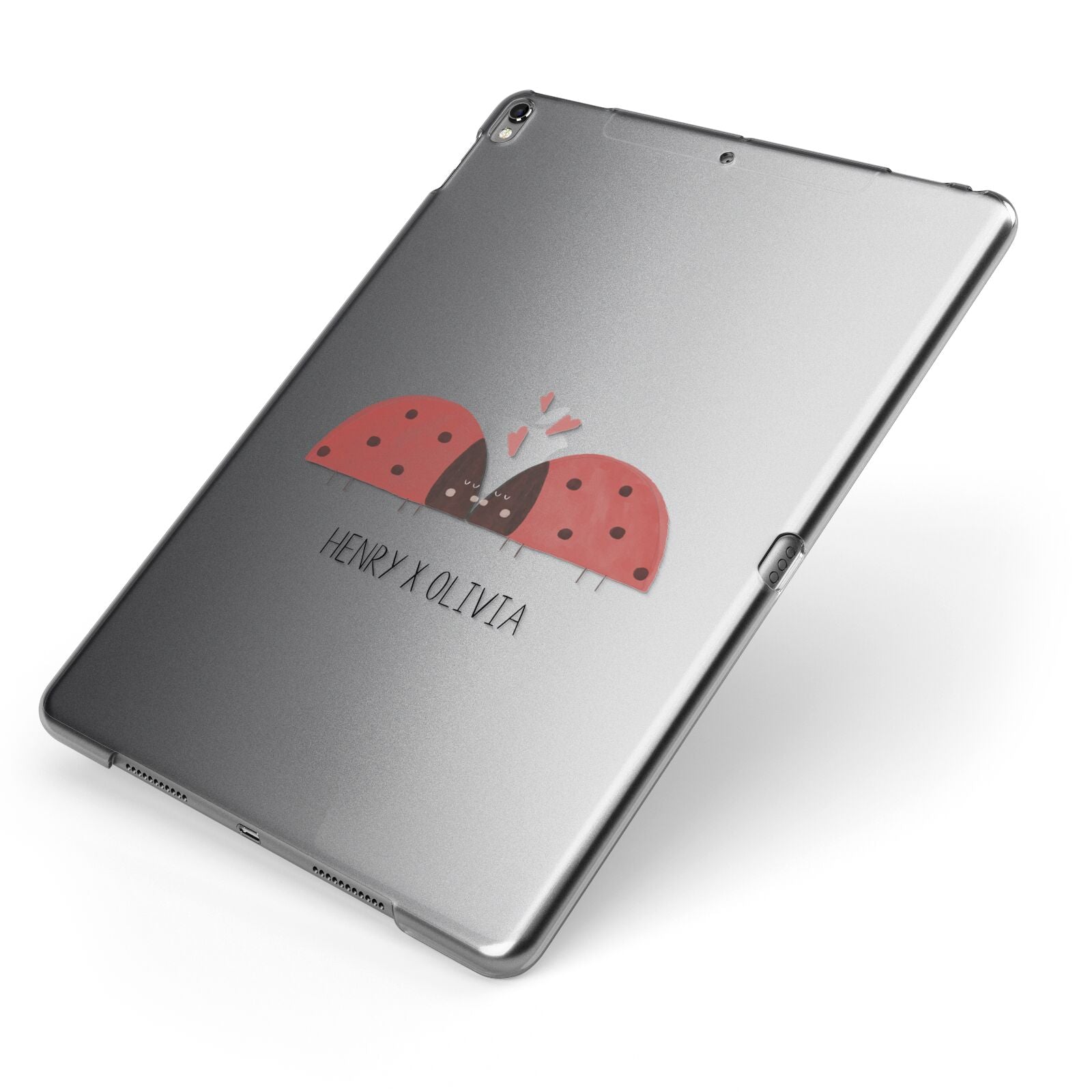 Two Ladybirds Apple iPad Case on Grey iPad Side View