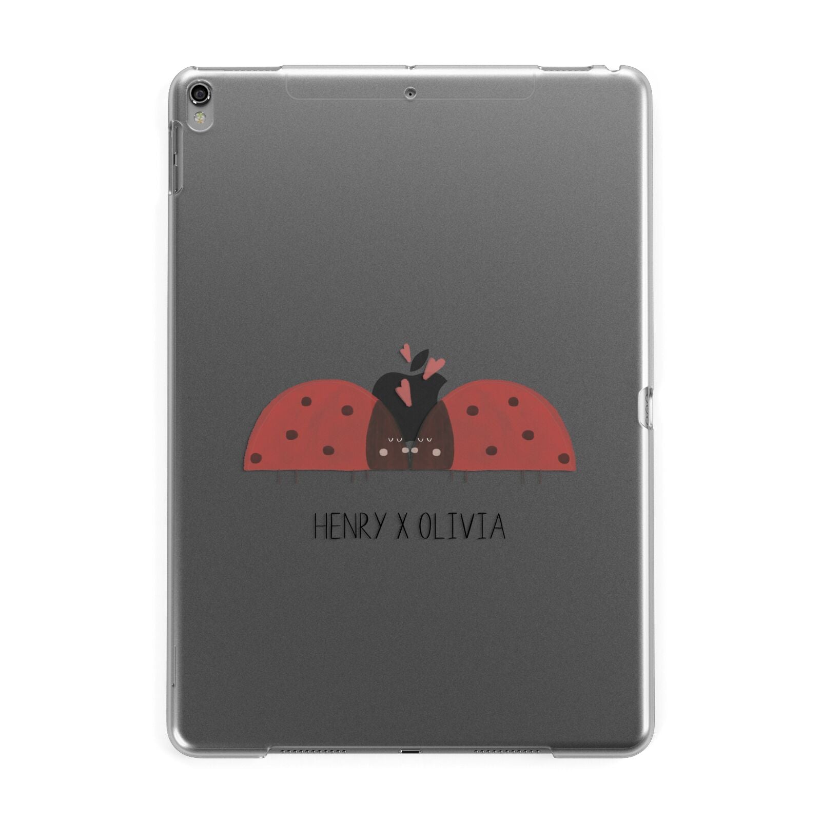 Two Ladybirds Apple iPad Grey Case