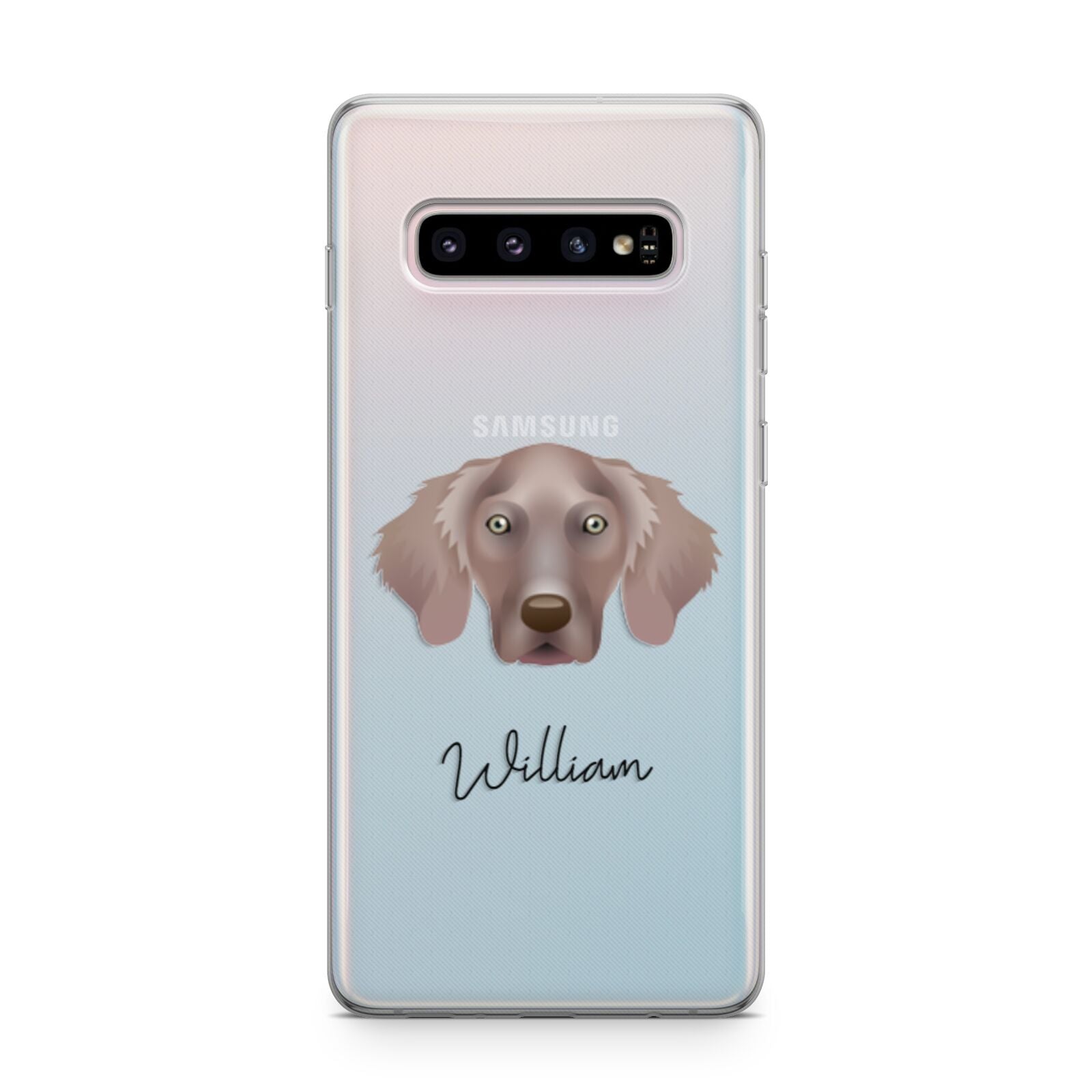 Weimaraner Personalised Samsung Galaxy S10 Plus Case