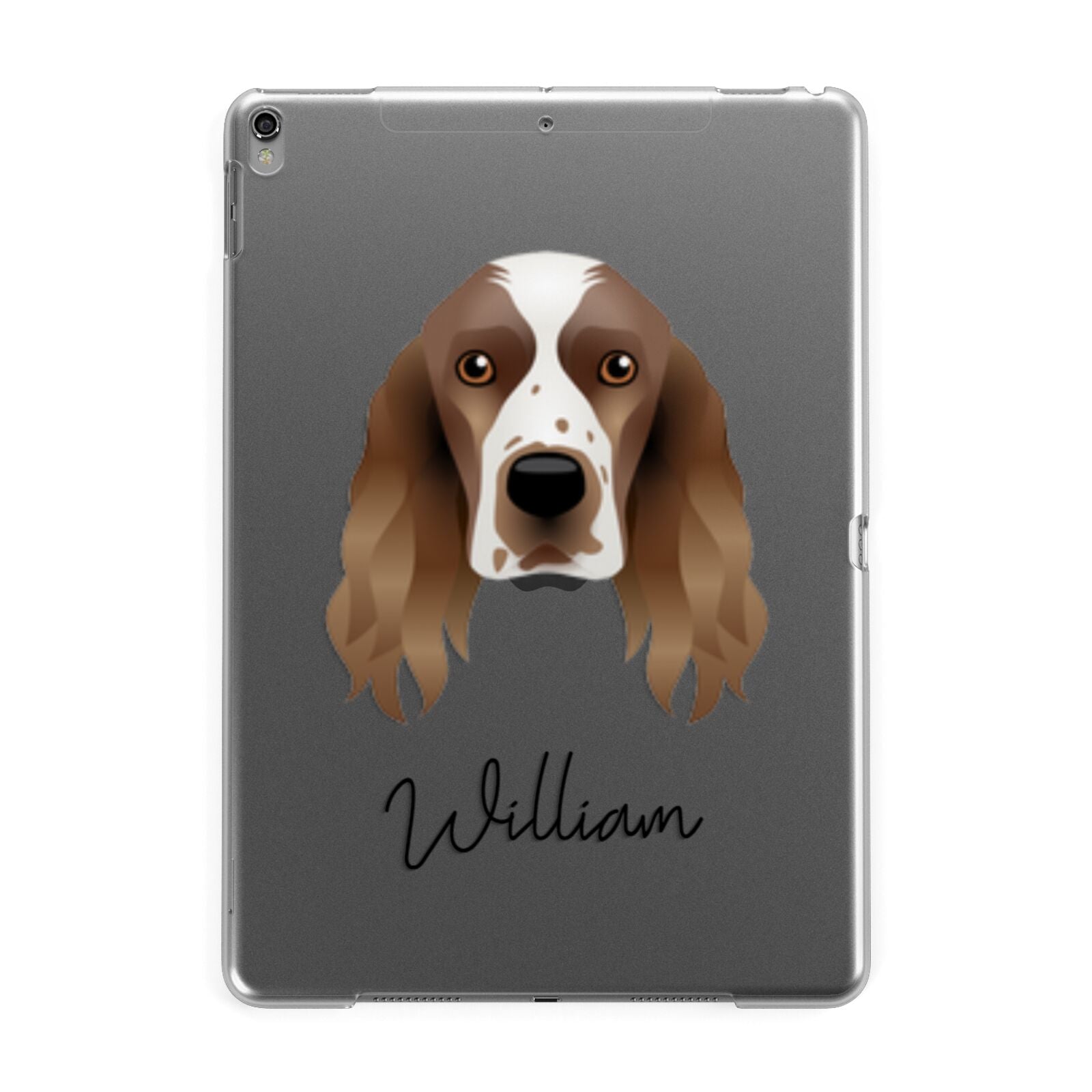 Welsh Springer Spaniel Personalised Apple iPad Grey Case