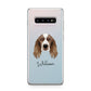 Welsh Springer Spaniel Personalised Samsung Galaxy S10 Plus Case