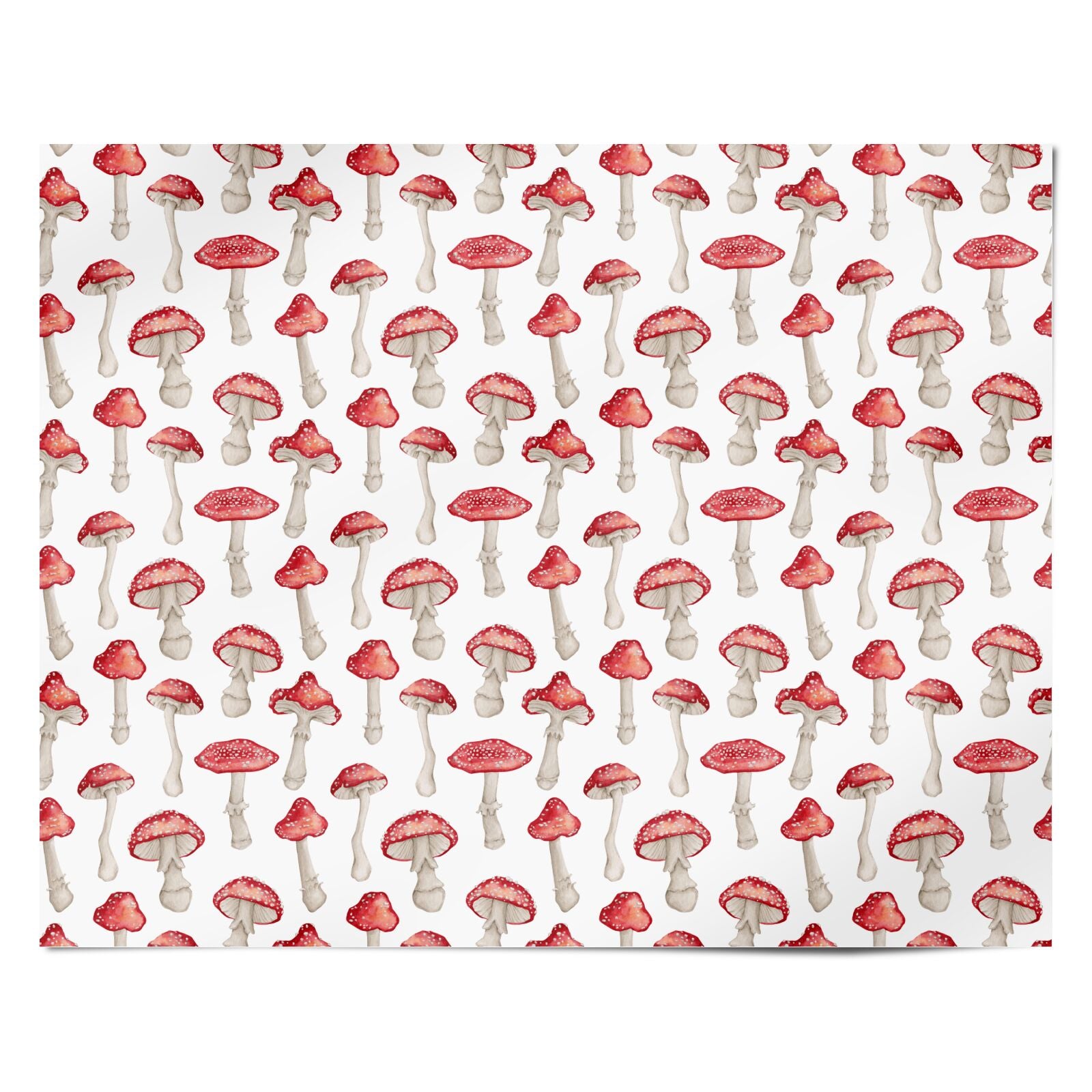 Wild Mushrooms Personalised Wrapping Paper Alternative