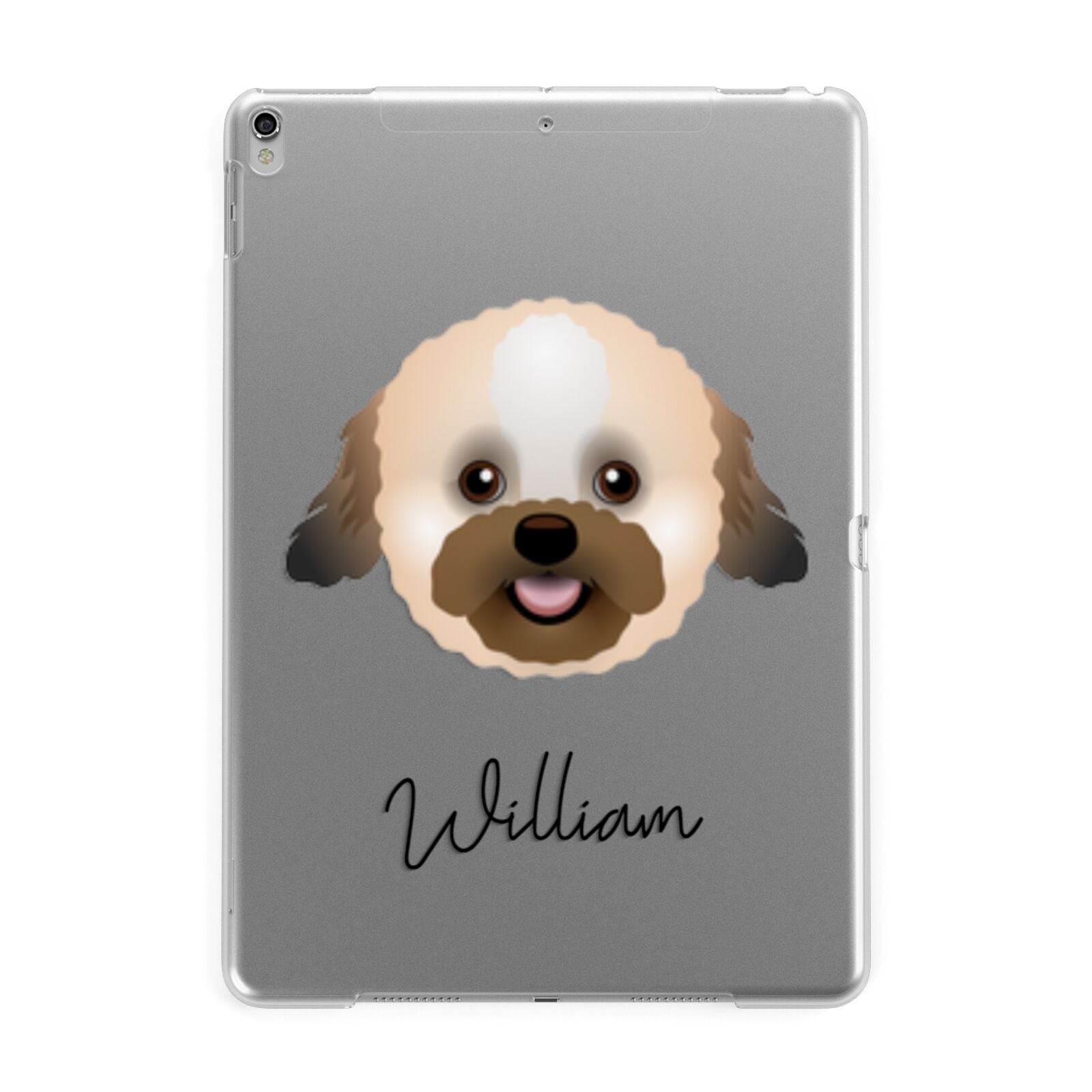 Zuchon Personalised Apple iPad Silver Case